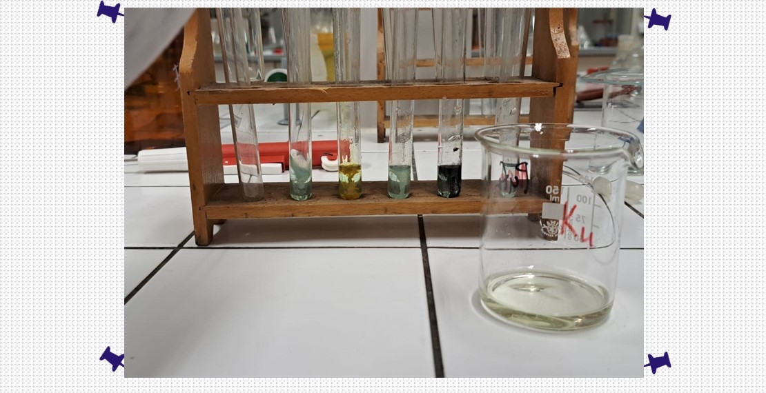 Březnové kroužky pro ZŠ a SŠ